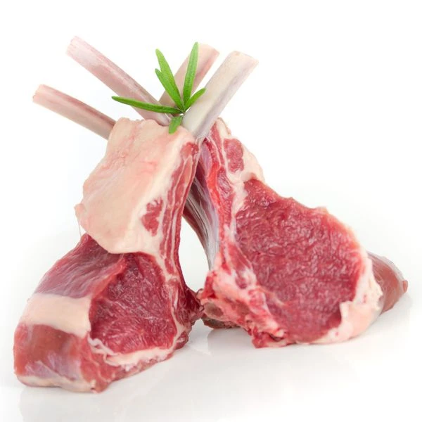 Knochensäge - 2020 Mm Sägeband 9 Knochensäge - 2020 Mm Sägeband – Bild 9