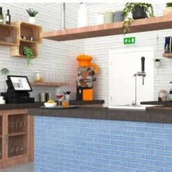 Elektrische Orangenpresse - Orange - Automatische Zufuhr -Küchengerätegeschäft OMZ matic room 7ad1