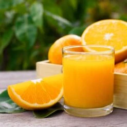 Elektrische Fruchtsaftpresse - Silber - Manuelle Zufuhr - Inkl. Regulierbarem Ablasshahn -Küchengerätegeschäft detail orange juice da7c 10