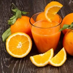 Orangenpresse -Küchengerätegeschäft orangensaft52 d7fb